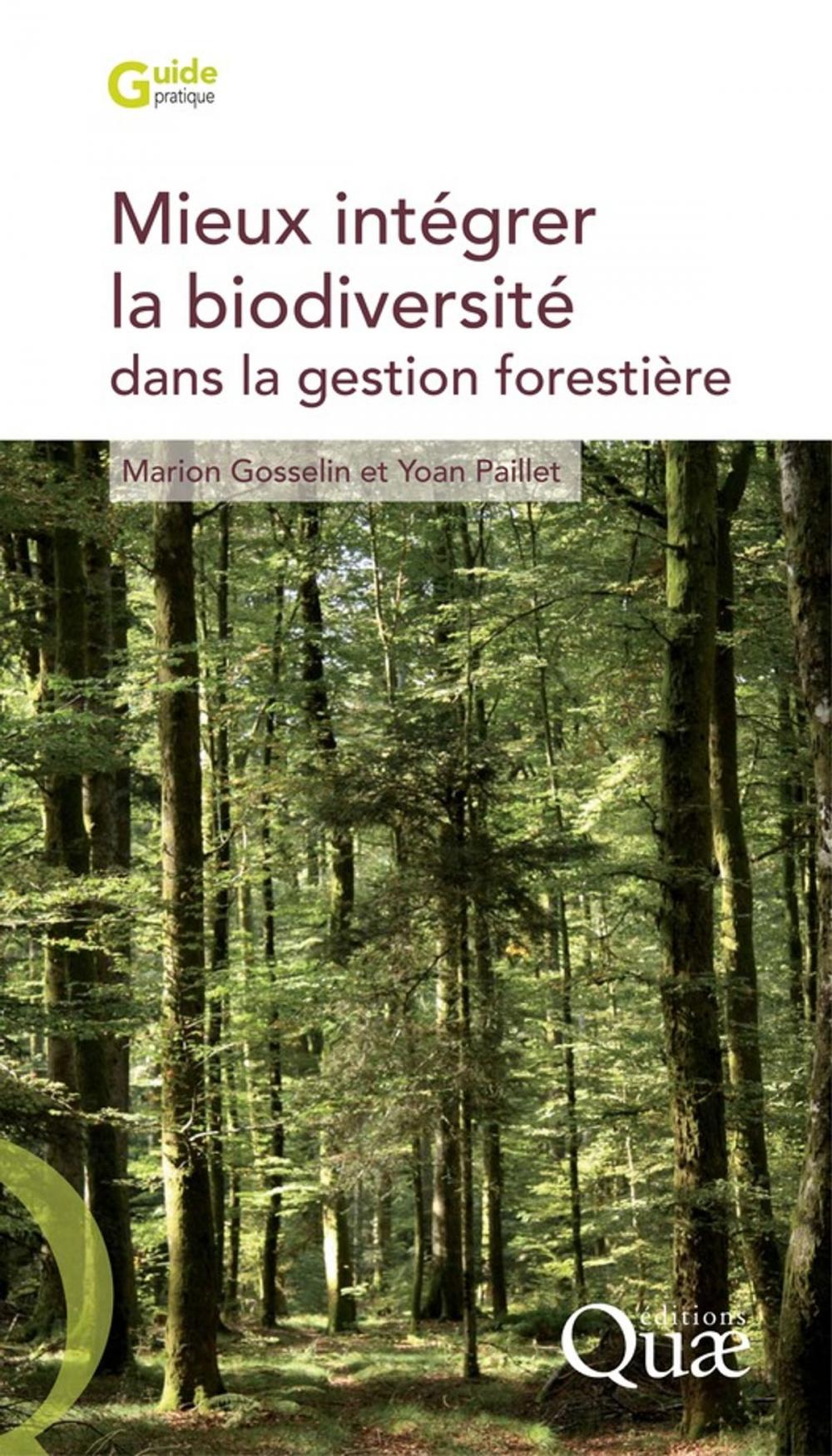 Big bigCover of Mieux intégrer la biodiversité dans la gestion forestière