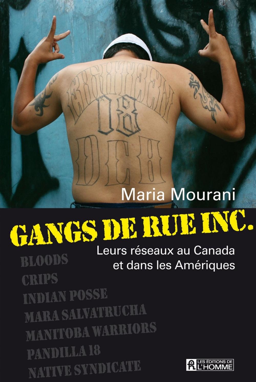 Big bigCover of Gangs de rue inc.