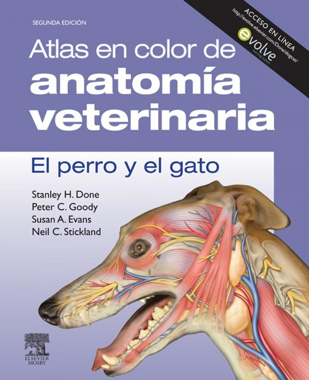 Big bigCover of Atlas en color de anatomía veterinaria. El perro y del gato (incluye evolve)