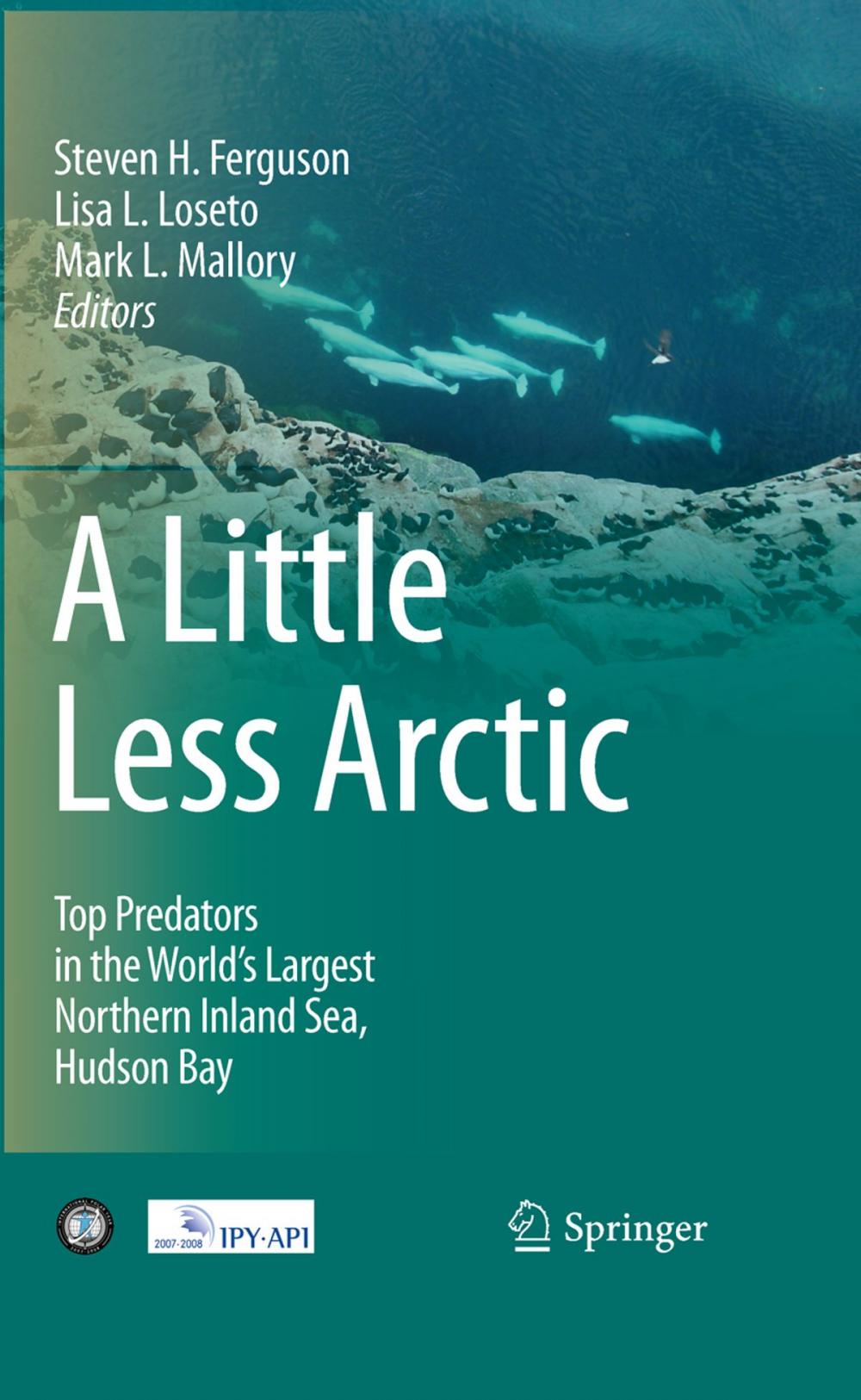 Big bigCover of A Little Less Arctic