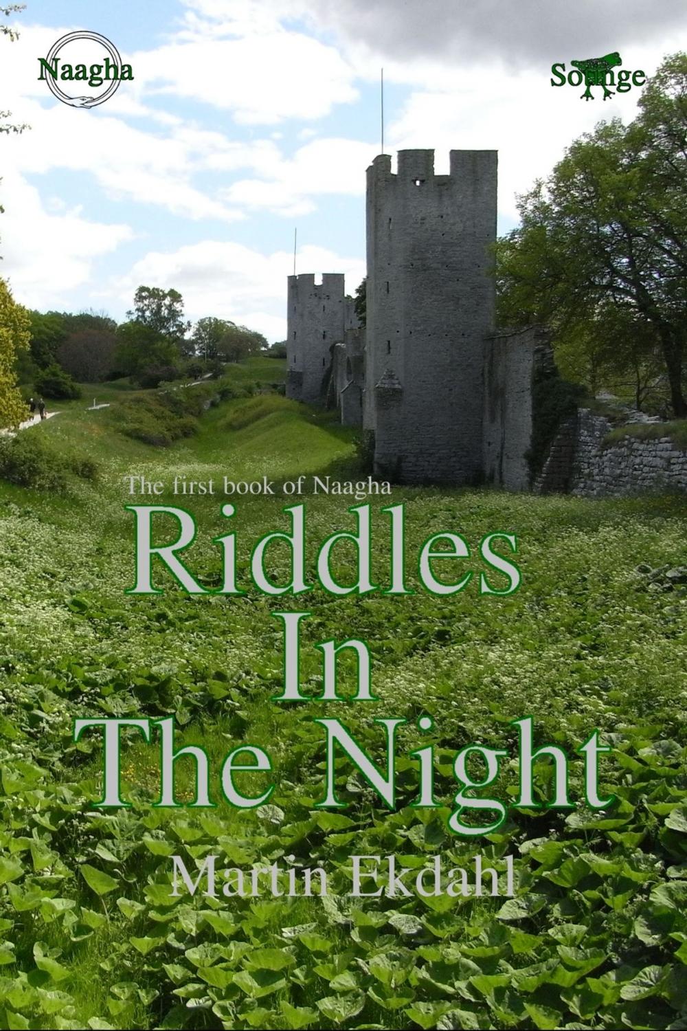 Big bigCover of Riddles In The Night