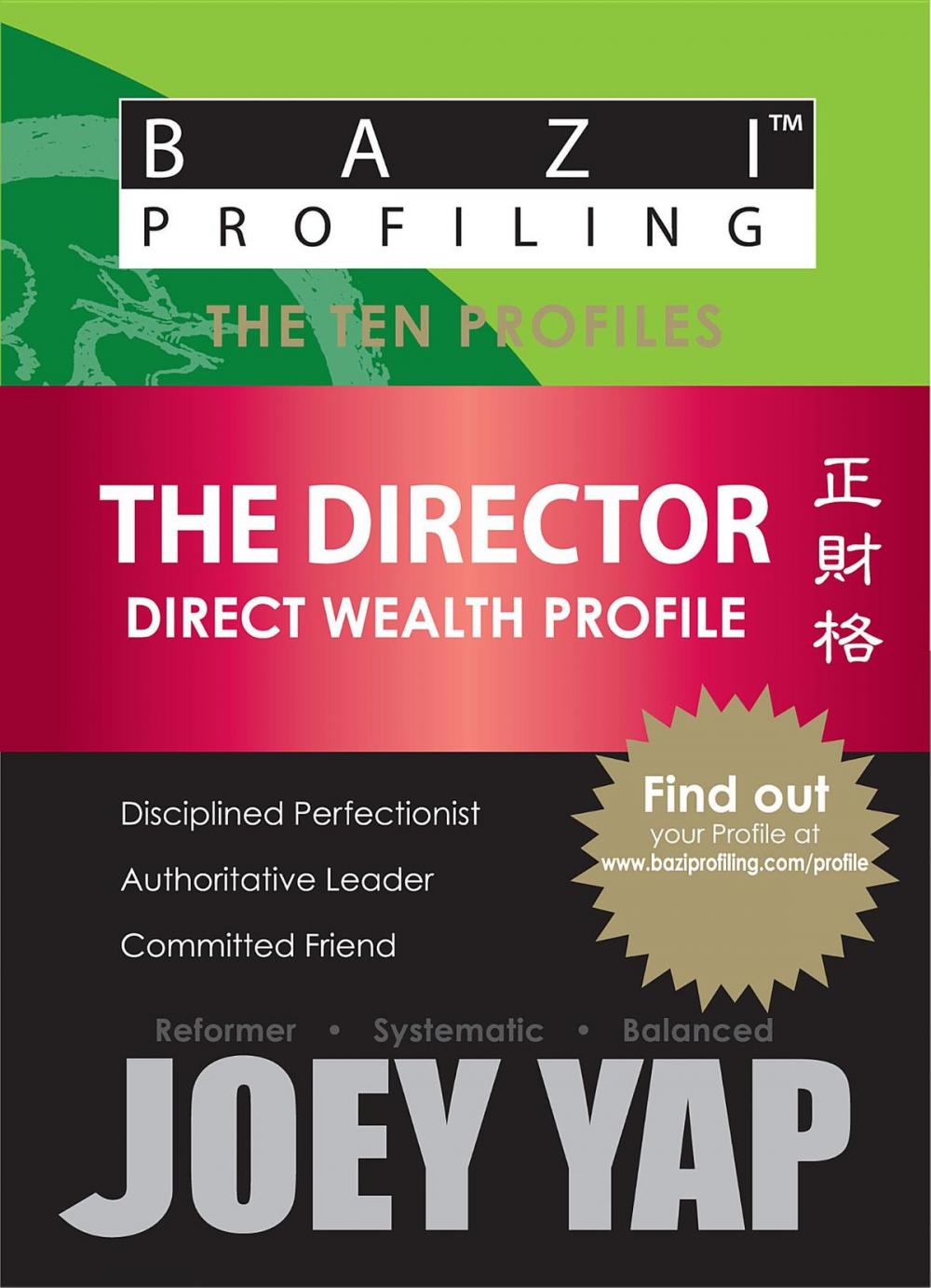 Big bigCover of The Ten Profiles - The Director (Direct Wealth Profile)