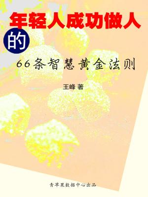 Cover of the book 年轻人成功做人的66条智慧黄金法则 by Jed A. Blue