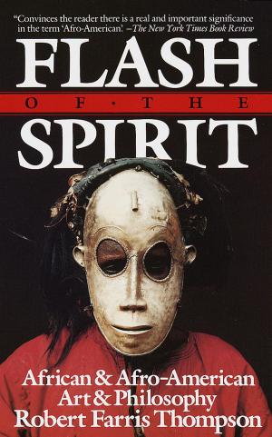 Cover of the book Flash of the Spirit by Pajtim Statovci