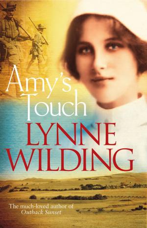 Cover of the book Amy's Touch by Adam Lehrhaupt