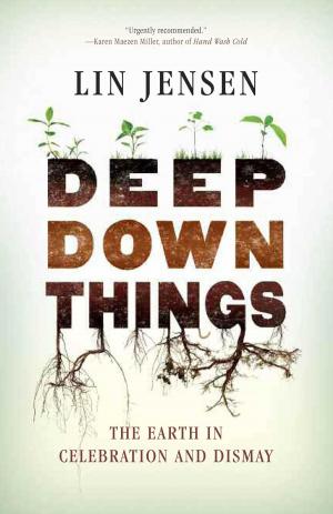 Cover of the book Deep Down Things by David R. Loy