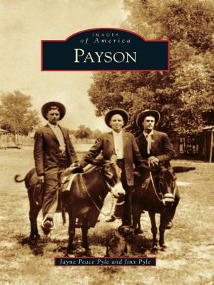 Cover of the book Payson by Louise S. O'Connor, Cecilia Thompson Ph.D.
