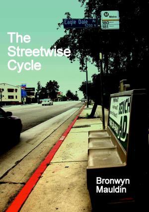 Cover of the book The Streetwise Cycle by C. K. Kelly Martin