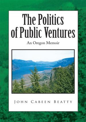 Cover of the book The Politics of Public Ventures by Alvin J. Moore