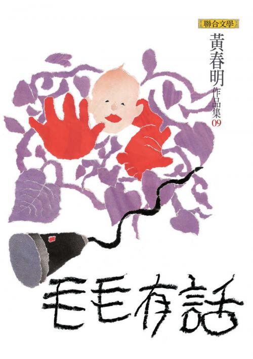 Cover of the book 毛毛有話 by 黃春明, 聯合文學出版社