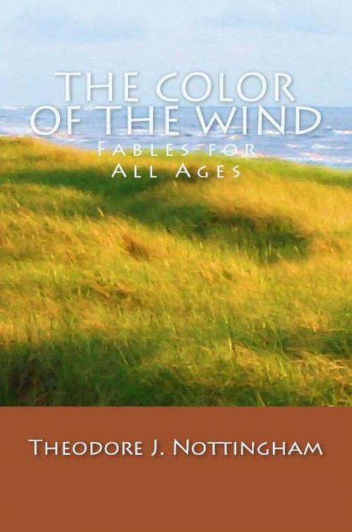 Cover of the book The Color of the Wind: Fables for All Ages by Theosis Books, Theosis Books