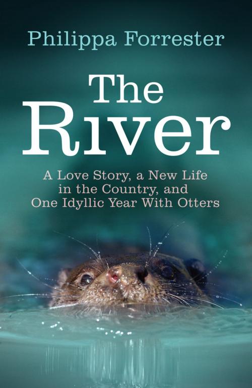 Cover of the book The River by Philippa Forrester, Random House