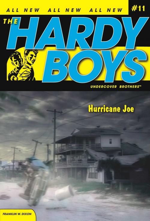 Cover of the book Hurricane Joe by Franklin W. Dixon, Aladdin