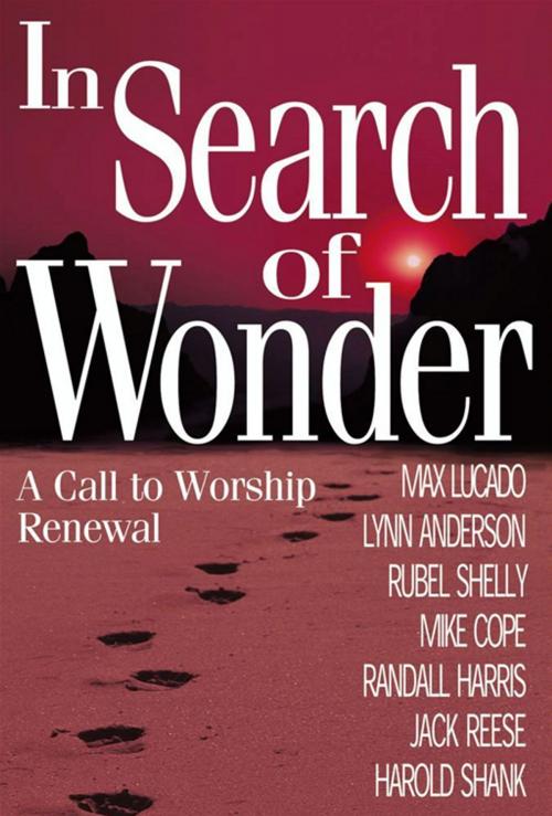 Cover of the book In Search of Wonder by Dr. Lynn Anderson Dr., Howard Books