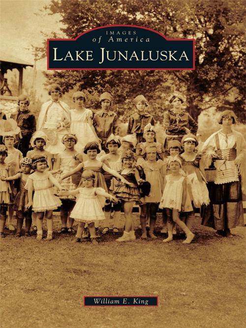 Cover of the book Lake Junaluska by William E. King, Arcadia Publishing Inc.