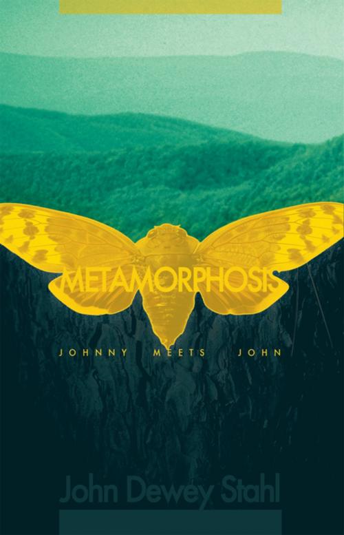Cover of the book Metamorphosis by John Dewey Stahl, WestBow Press