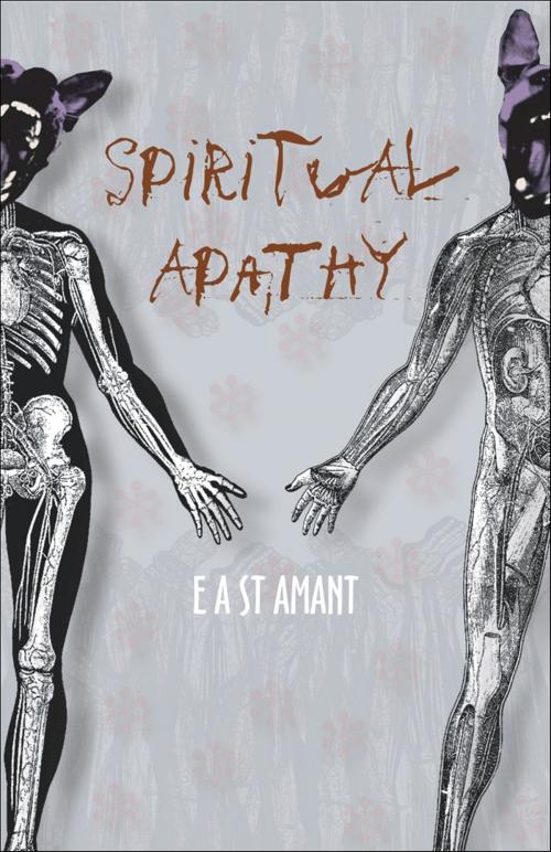 Cover of the book Spiritual Apathy by Edward St Amant, Edward St Amant