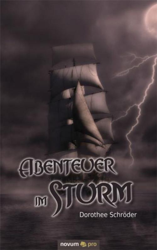 Cover of the book Abenteuer im Sturm by Dorothee Schröder, novum pro Verlag