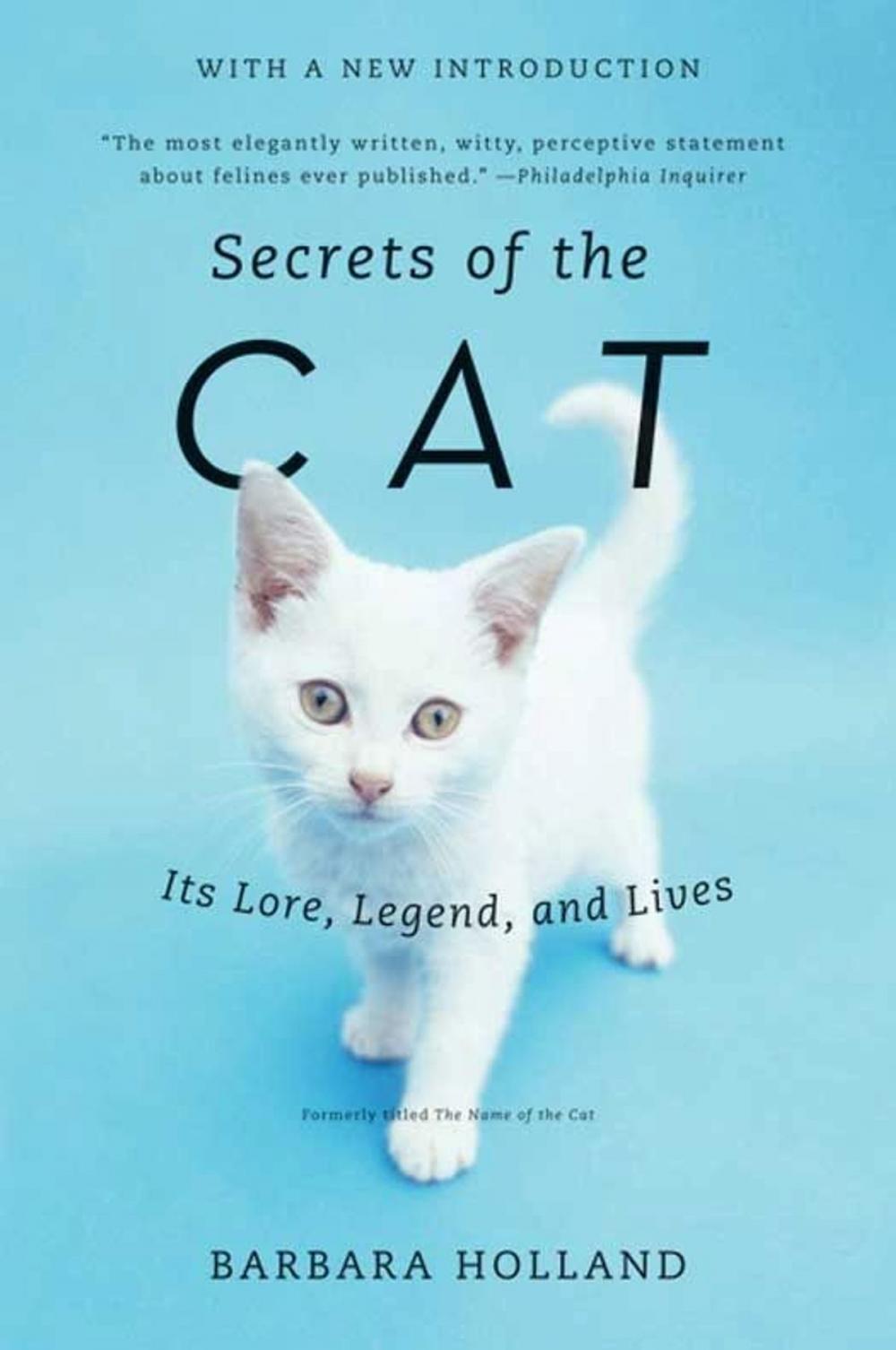 Big bigCover of Secrets of the Cat