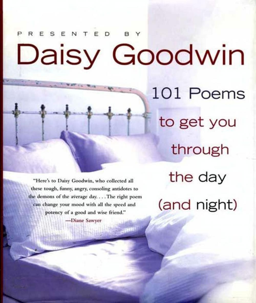 Big bigCover of 101 Poems to Get You Through the Day (and Night)