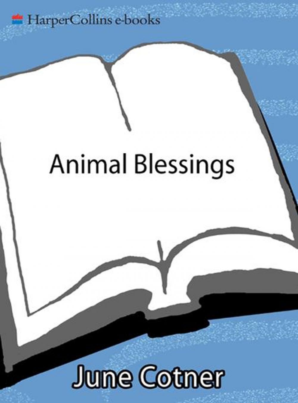 Big bigCover of Animal Blessings