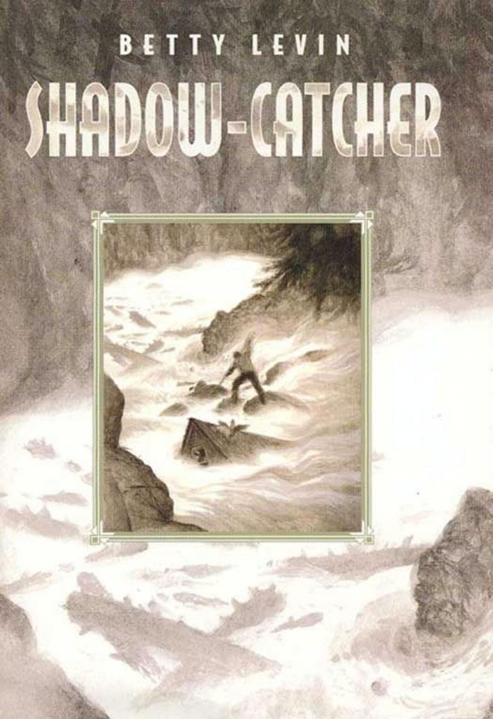 Big bigCover of Shadow-Catcher