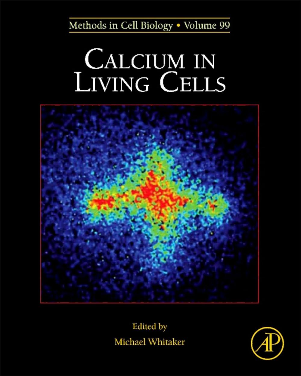 Big bigCover of Calcium in Living Cells