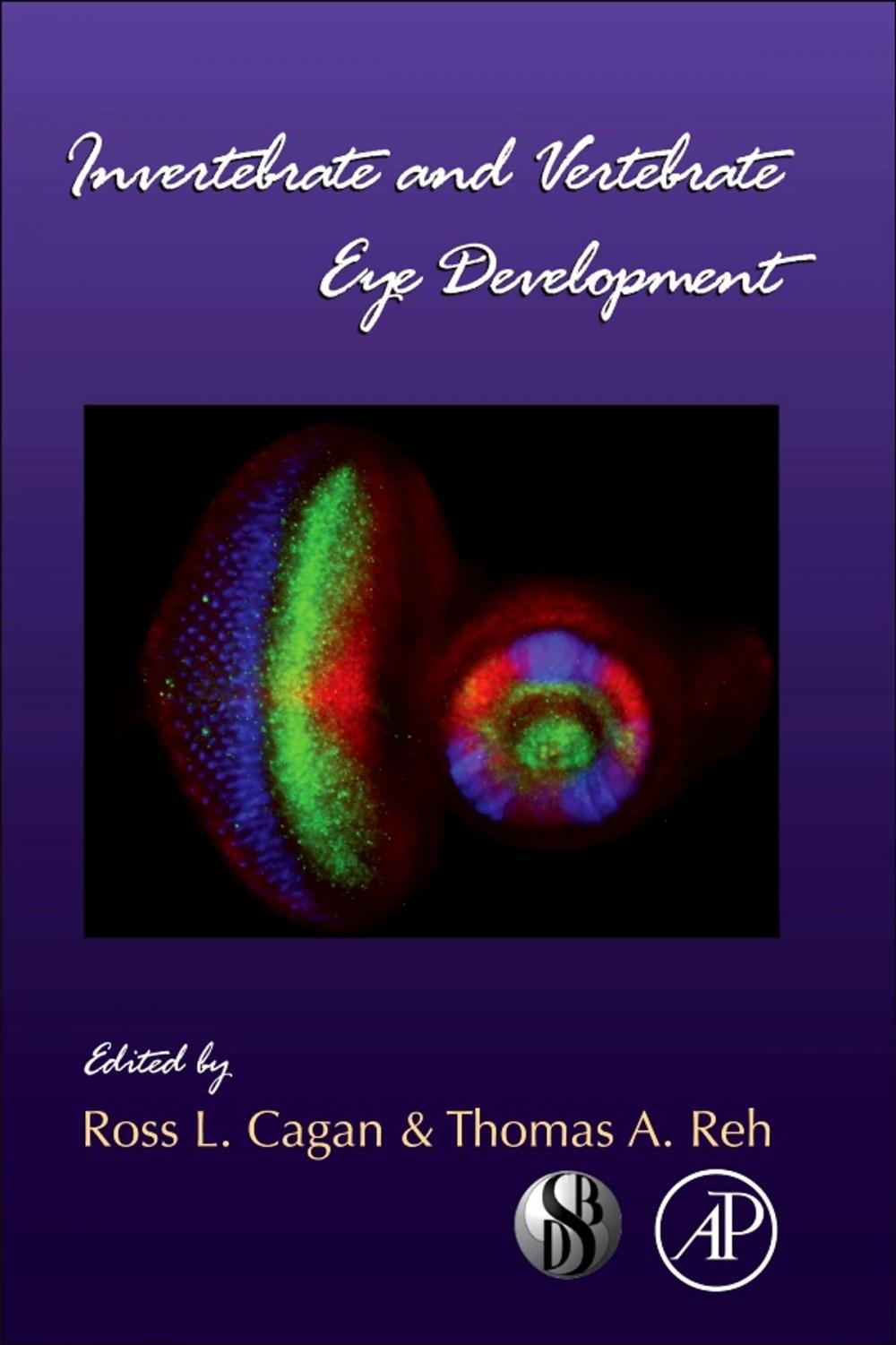 Big bigCover of Invertebrate and Vertebrate Eye Development