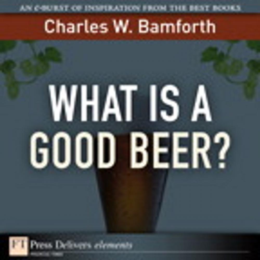 Big bigCover of What Is a Good Beer?