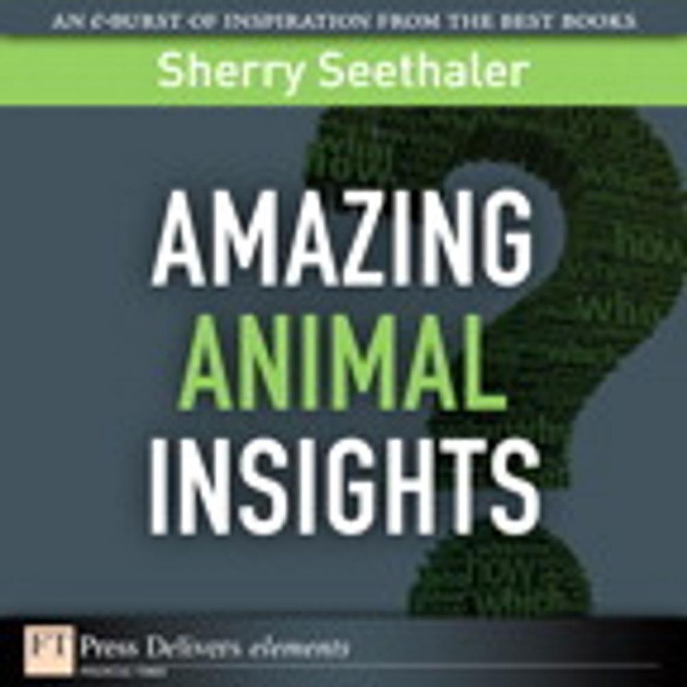 Big bigCover of Amazing Animal Insights