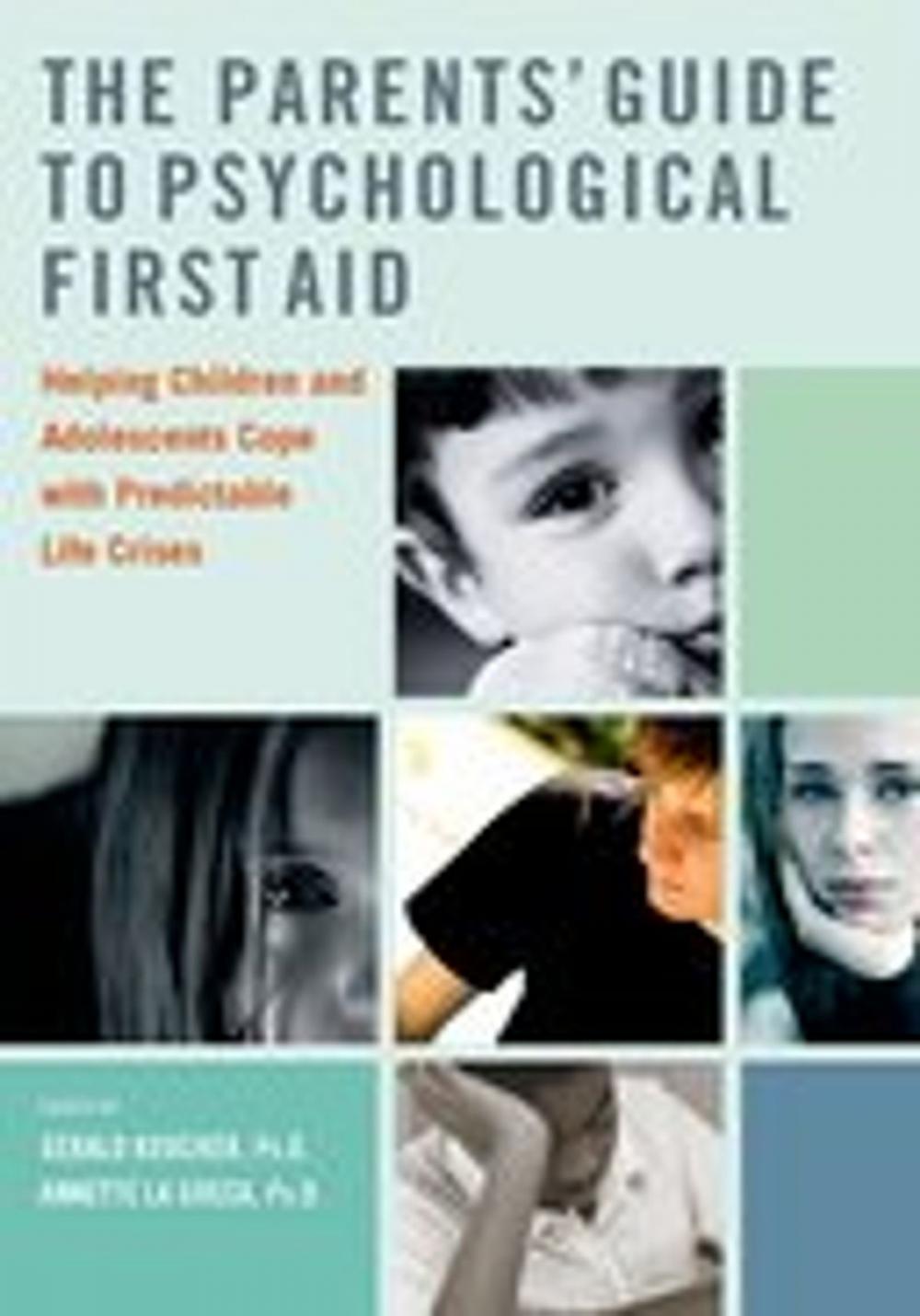 Big bigCover of The Parents' Guide to Psychological First Aid