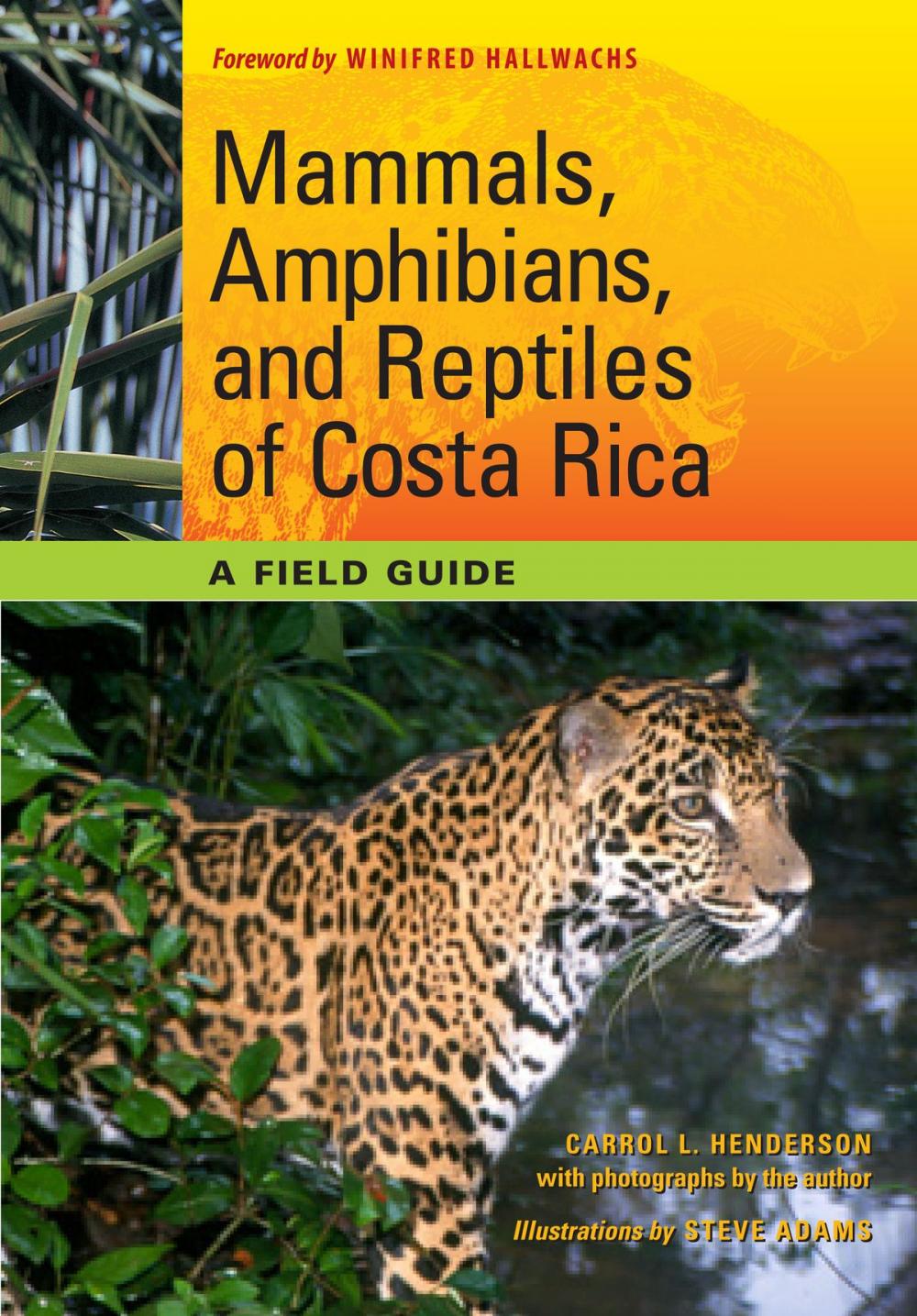 Big bigCover of Mammals, Amphibians, and Reptiles of Costa Rica