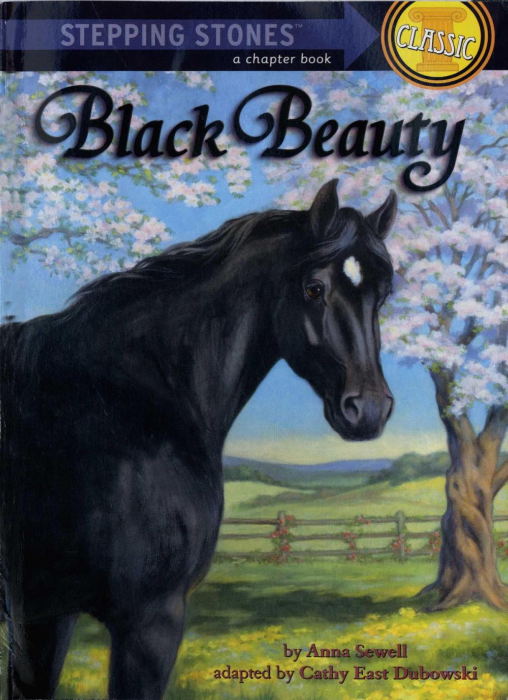 Big bigCover of Black Beauty