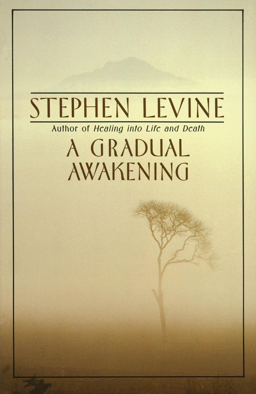 Big bigCover of A Gradual Awakening