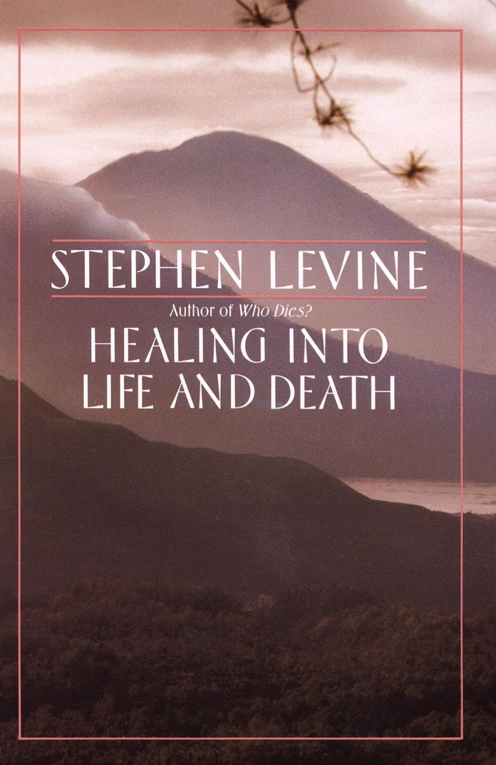 Big bigCover of Healing into Life and Death