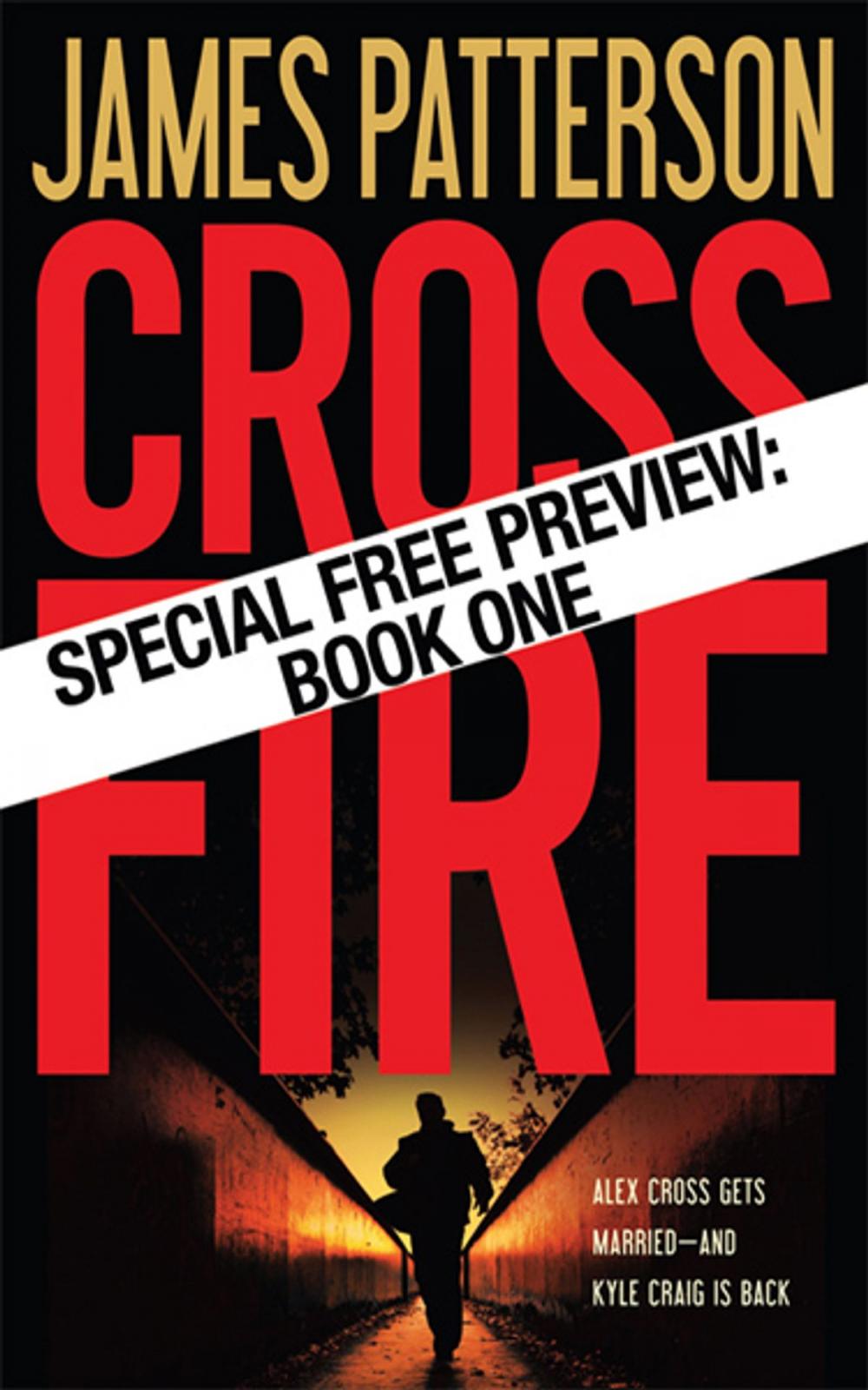 Big bigCover of Cross Fire-Free Preview: The First 30 Chapters