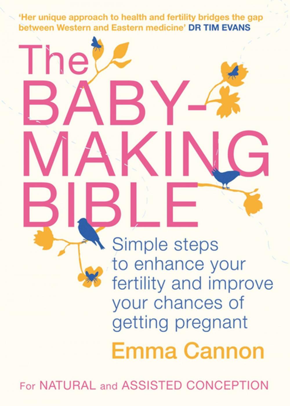 Big bigCover of The Baby-Making Bible