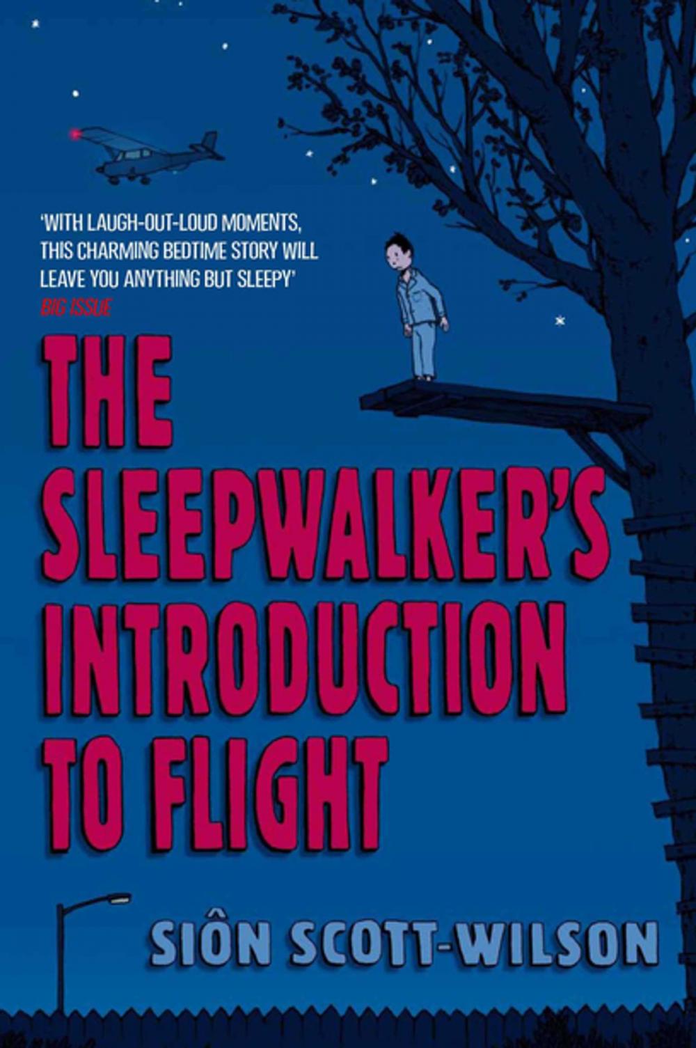 Big bigCover of The Sleepwalker's Introduction to Flight