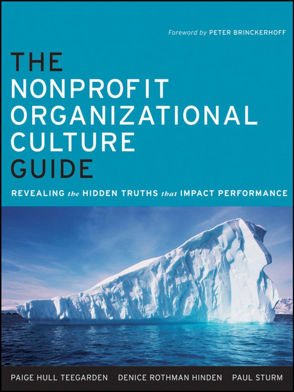 Big bigCover of The Nonprofit Organizational Culture Guide