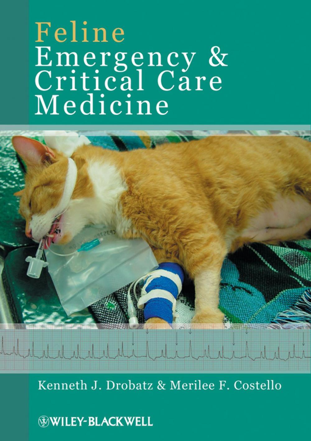 Big bigCover of Feline Emergency and Critical Care Medicine