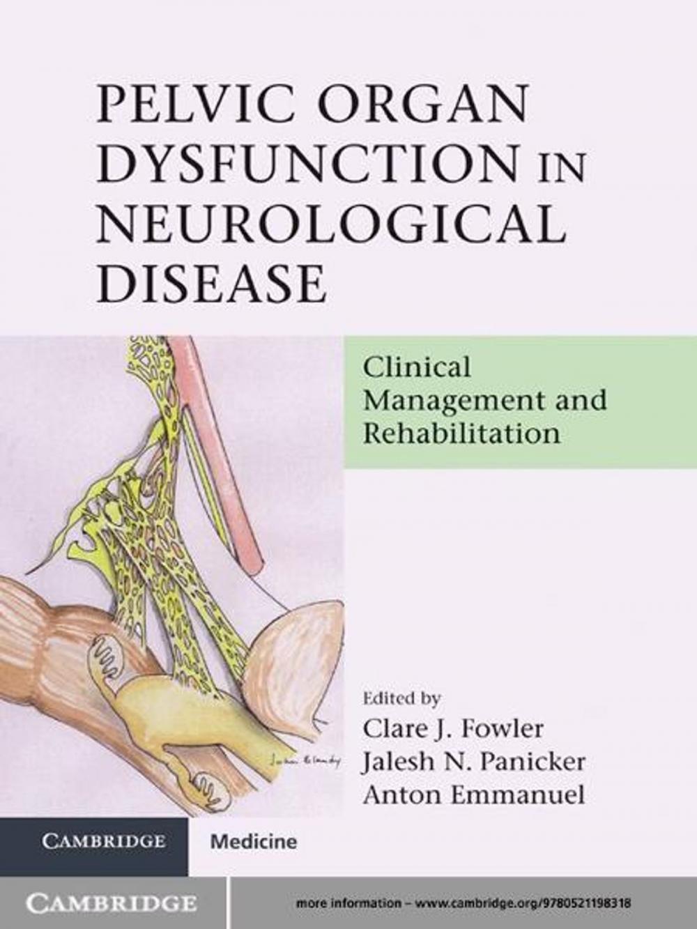 Big bigCover of Pelvic Organ Dysfunction in Neurological Disease