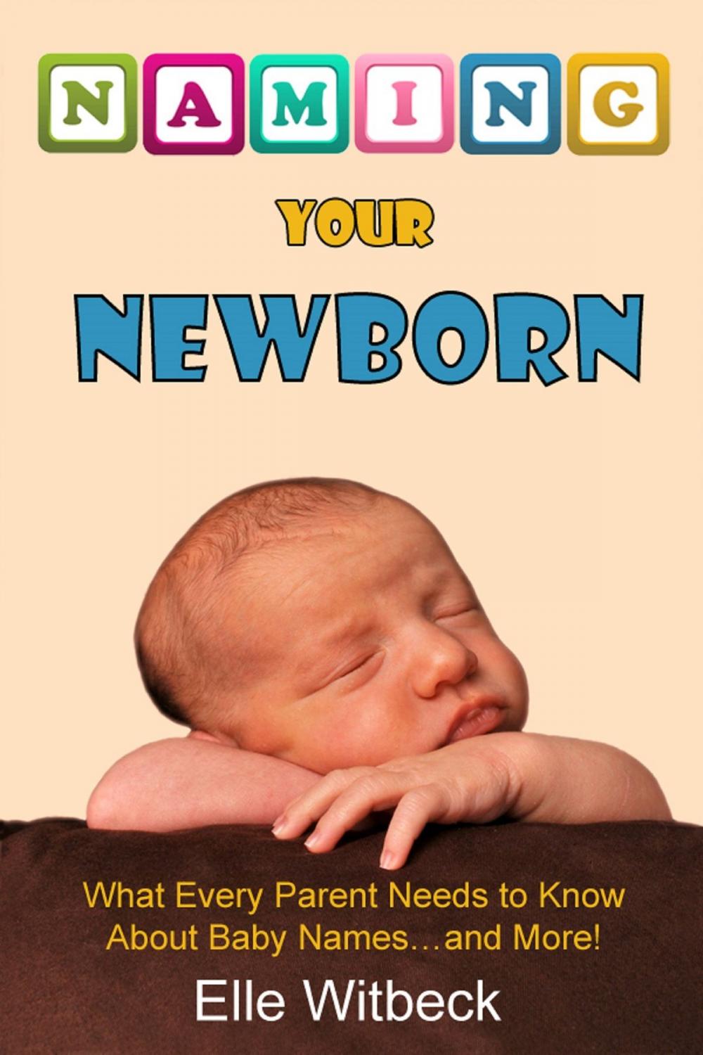 Big bigCover of Naming Your Newborn: What Every Parent Needs to Know about Baby Names... and More!