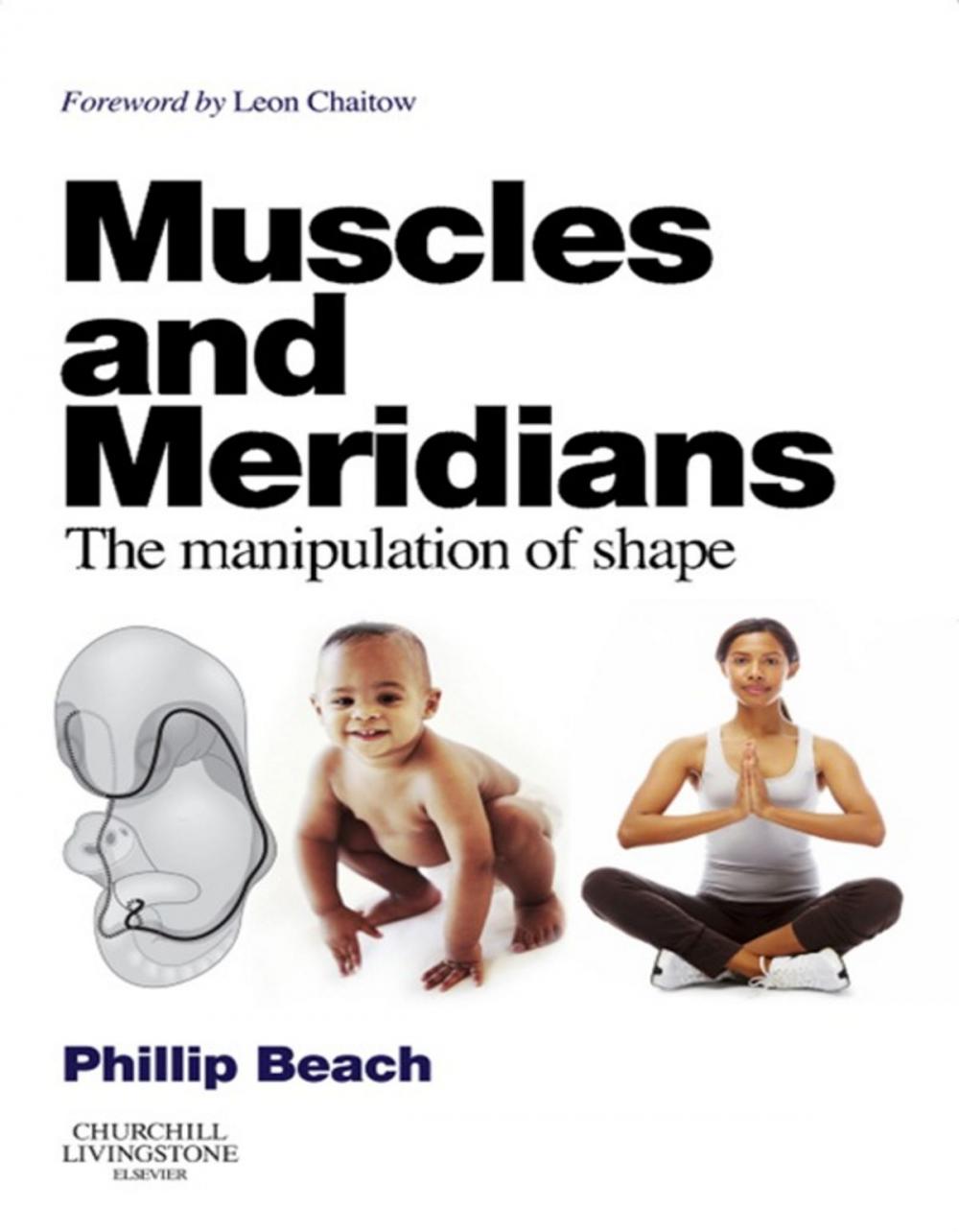 Big bigCover of Muscles and Meridians E-Book