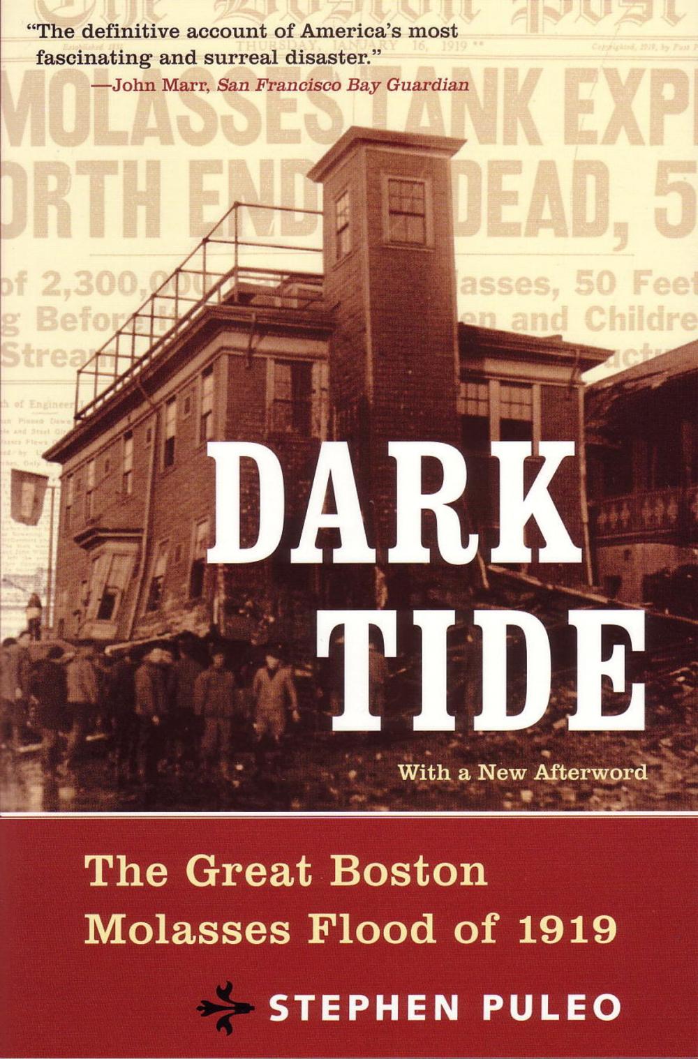 Big bigCover of Dark Tide