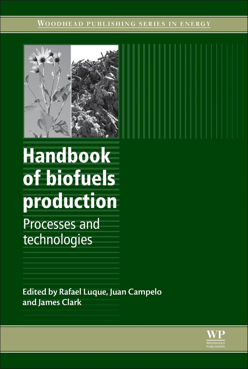 Big bigCover of Handbook of Biofuels Production