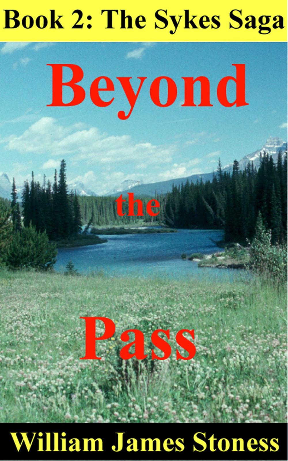 Big bigCover of Beyond the Pass