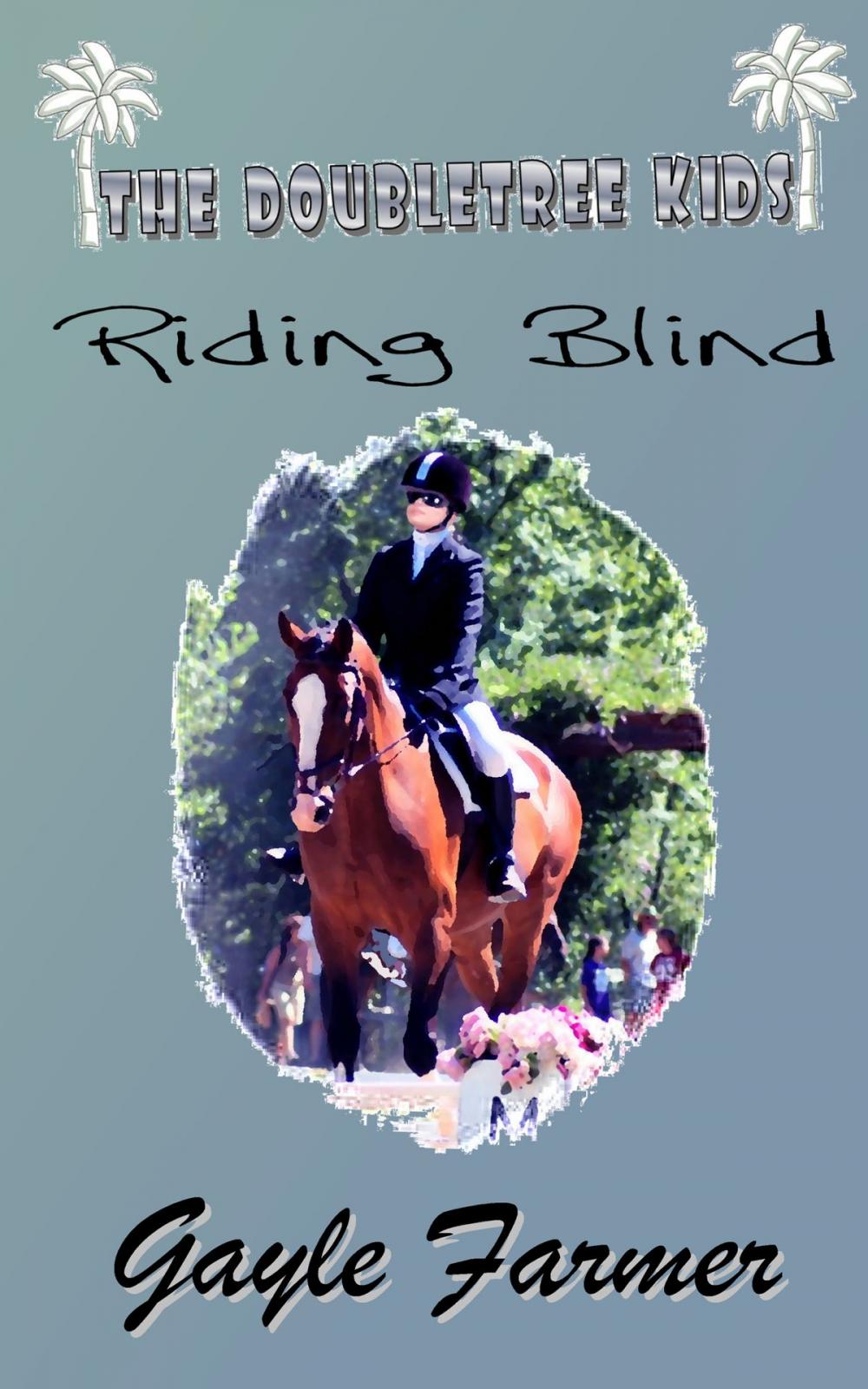 Big bigCover of Riding Blind