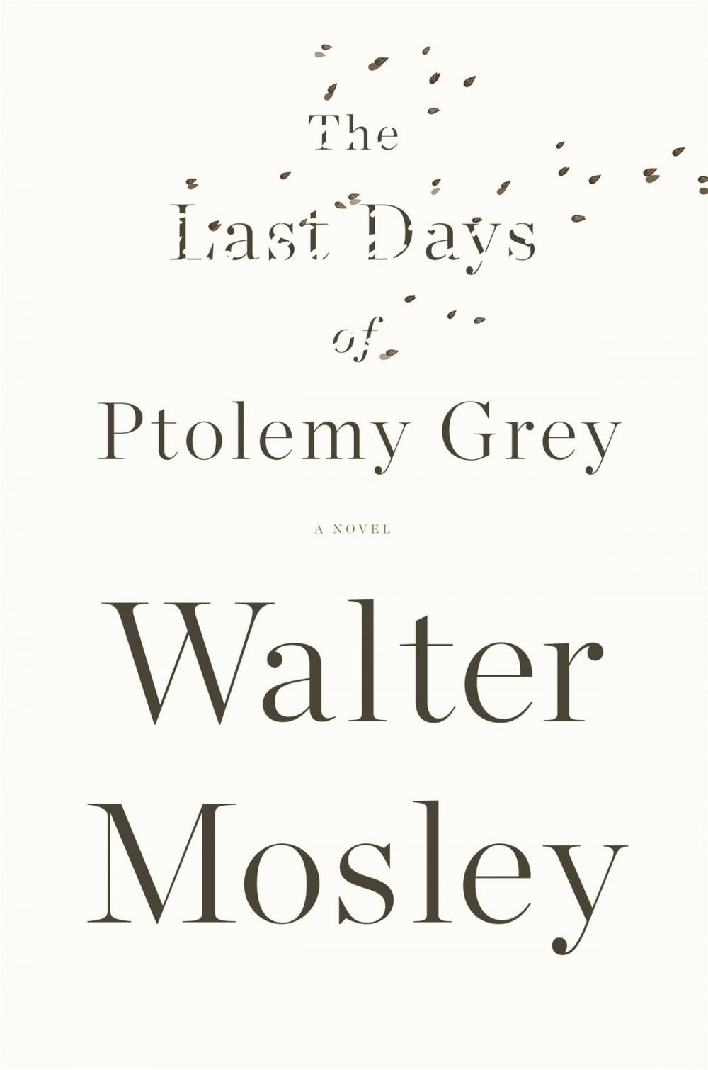 Big bigCover of The Last Days of Ptolemy Grey