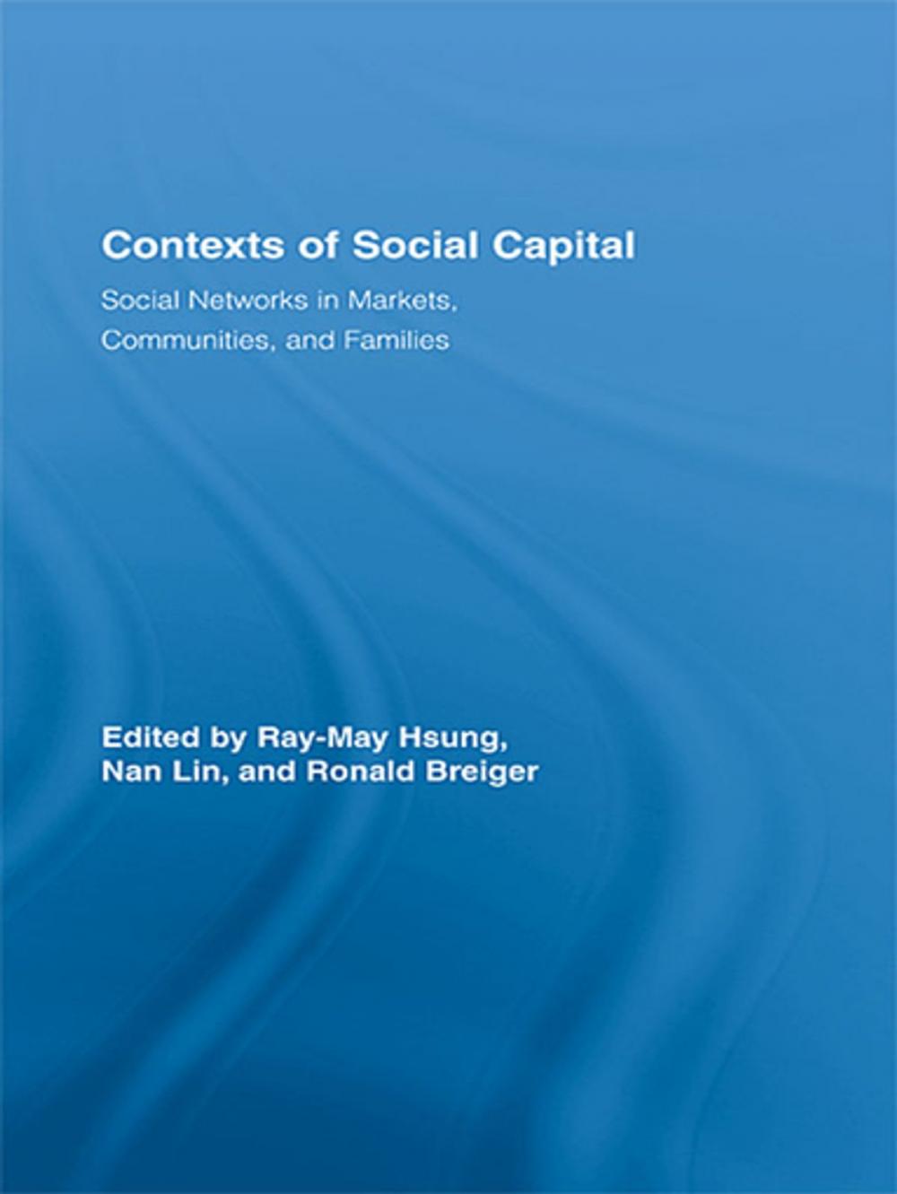 Big bigCover of Contexts of Social Capital