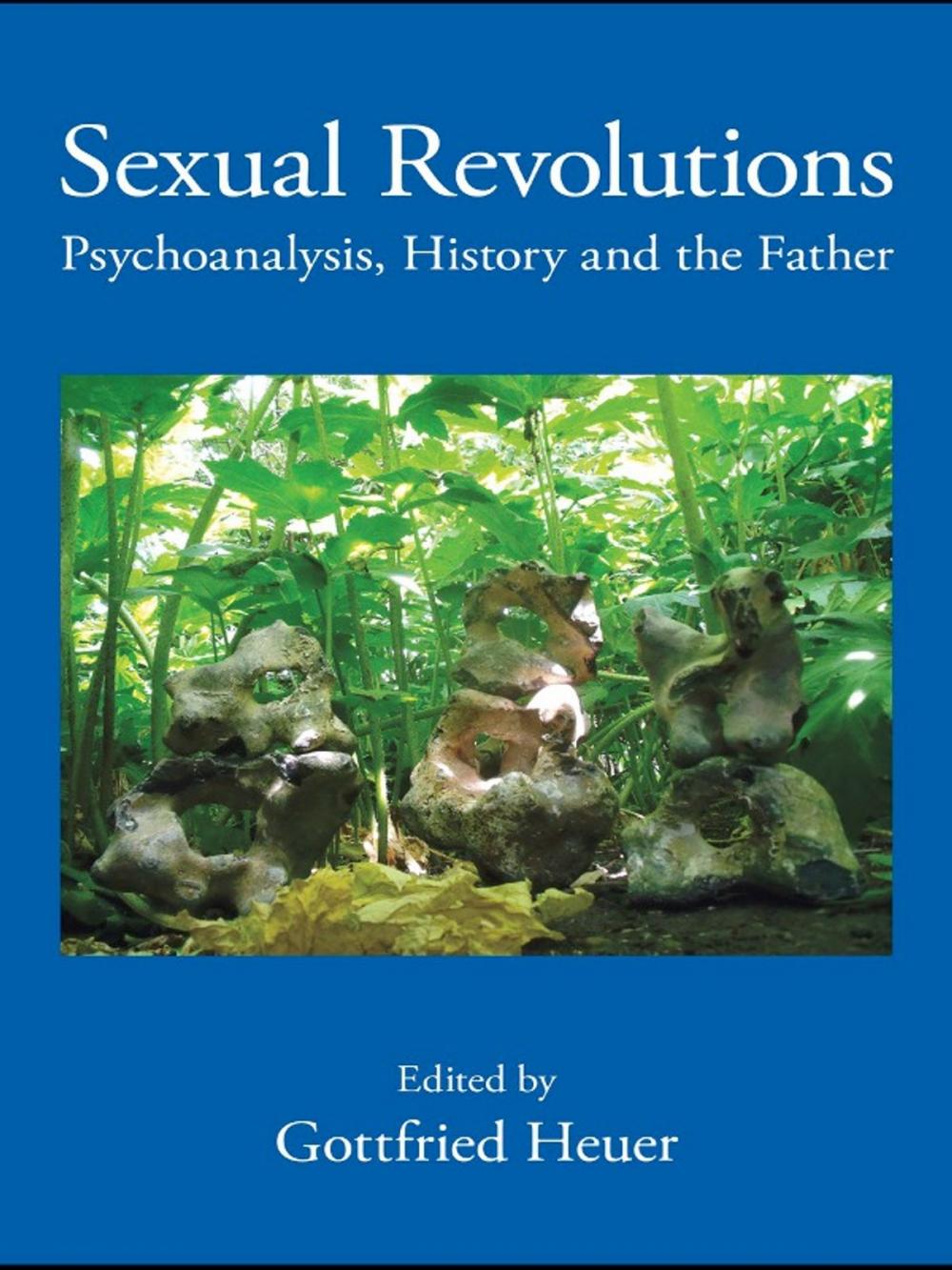 Big bigCover of Sexual Revolutions